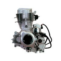 Двигатель Lifan 163 FML-2M