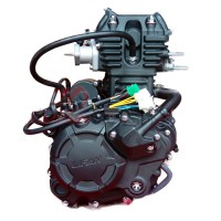 Двигатель Lifan LF165ML-P